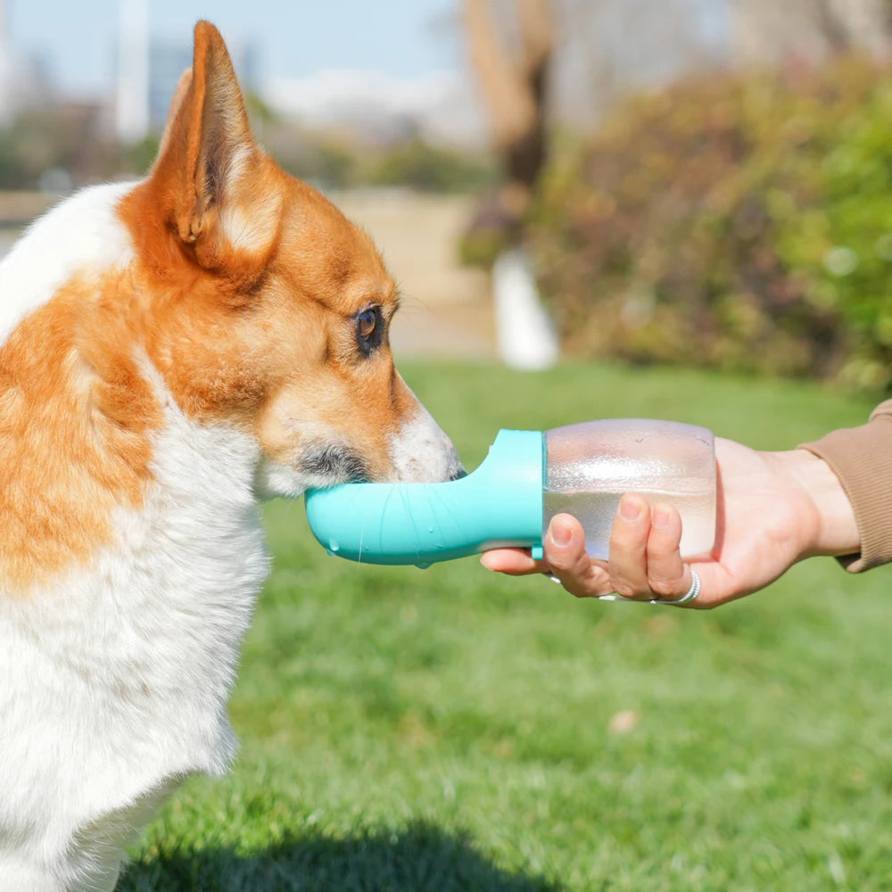 Stay Hydrated on the Go! 💧🐶 Portable 300ML Dog Water Bottle & Bowl for Your Adventures with Small & Medium Pups! Perfect for Hiking & Outdoor Fun! 🐾✨